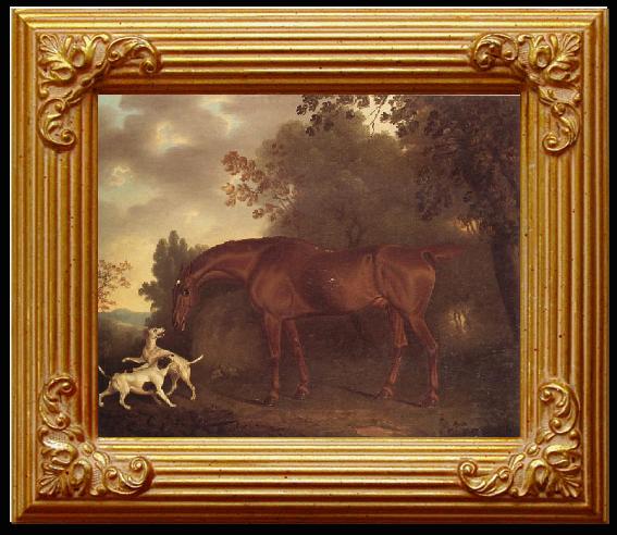 Clifton Tomson A Bay Hunter and Two Hounds in A Wooded Landscape